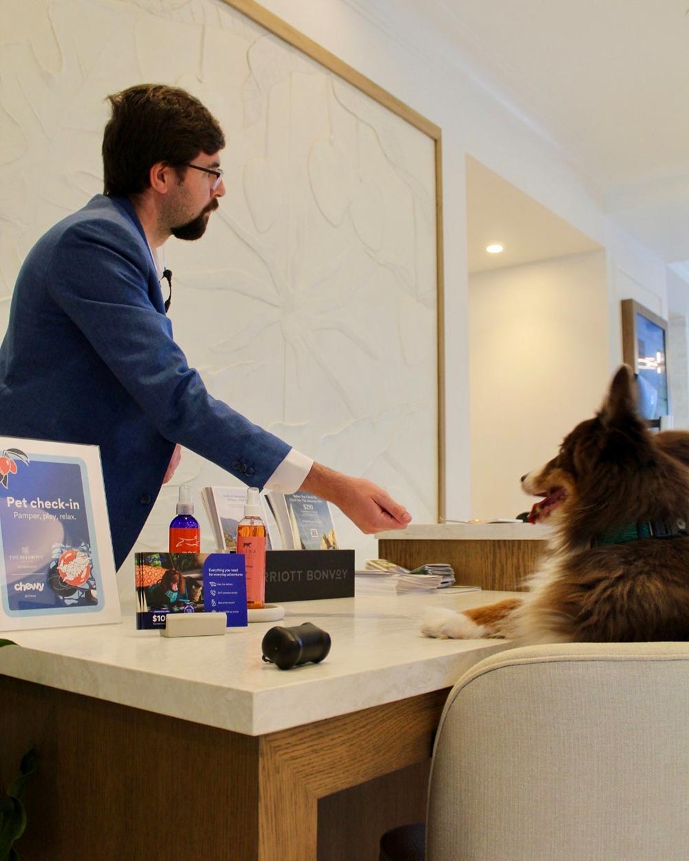 The Belgrove Pet Check In